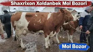 Andijon Shaxrixon Xoldanbek Choja Mol Bozori Albatta Koring 👍