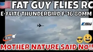 E-FLITE 80MM T-BIRD MOTHER NATURE SAID NO! by FGFRC #aviation #rcjets