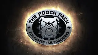 Upcoming Pooch & LilPooch QnA?!?!