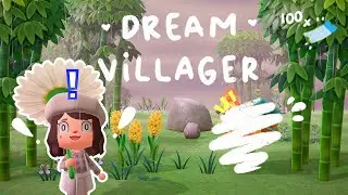 Dream Villager Hunt with 100 Nook Miles Tickets & Giveaway // Animal Crossing: New Horizons