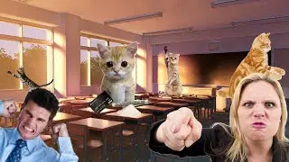 Doing blow in front of the vice principal...