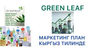 Маркетинг план Greenleaf кыргызча 