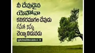 MARGAMU CHUPUMU INTIKI SONG