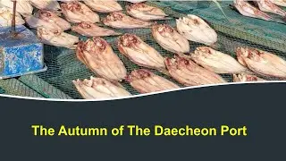 The Autumn of the Daecheon Port | Boryeong