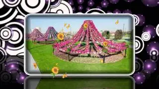 Dubai Miracle Garden   цветочное царство среди пустыни!