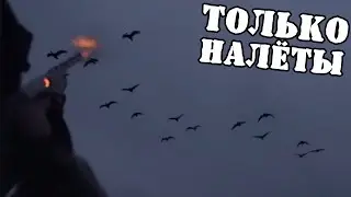 Лучшие налёты за сезоны Охота на гуся
