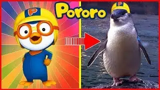 Pororo The Little Penguin Characters In Real Life ! (2018)
