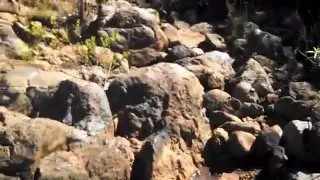 Cruzando barranquita