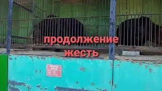 #зоопарк #жесть #не_мучейте_животных  Зоопарк жесть мне их жаль бедные животные