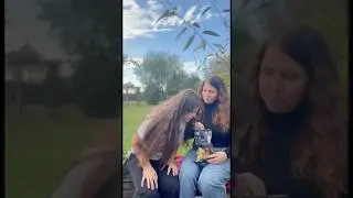 Comedy :try not  to laugh😂 #shorts