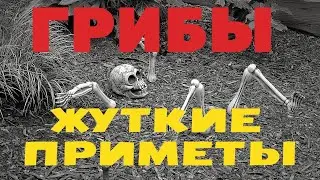 Примета про войну#примета#сво#мистика#таро#приметыисуеверия#битваэкстрасенсов#