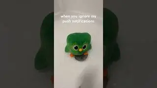 sad g(owl) hours 