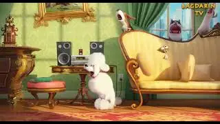 Новый кавер скоро