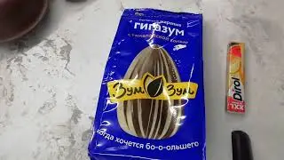 АСМР-итинг😋Семечки и жвачка🔥