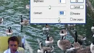 Photoshop CS3 - Brightness & Contrast