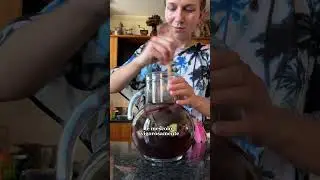 Bevanda fermentata probiotica con fiori di lavanda, echinacea e zenzero 🌸