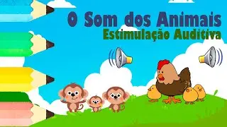 O SOM dos Animais, para Educação Infantil - Estimulação Auditiva. #artemundodesenho