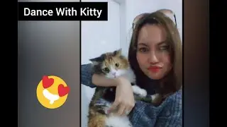 Dancing With The Kitty part 3
