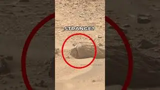 Mars Rover Perseverance SOL 1227 | quicksolutions-data