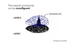 Neural networks grown and self-organized by noise