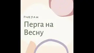 Как сохранить Пергу на весну.Перга часто плесневеет и закисает