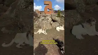 Իսկ ո՞րն է Ձեր տառը 😜