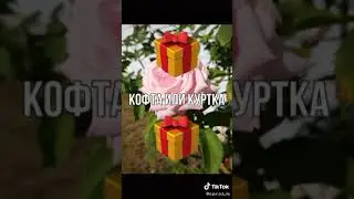 Соберись на прогулку