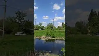 Обрезка деревьев мастер класс 😁😁😁