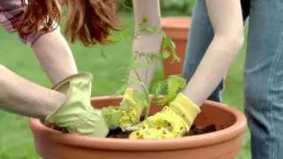 2015 Miracle-Gro English Commercial 30
