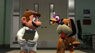 Dr. Duck Hunt Duo