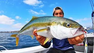 Sydney Kingfish On Poppers & Jigs - Yellowtail Kingfish Lures Only - Fishing Australia