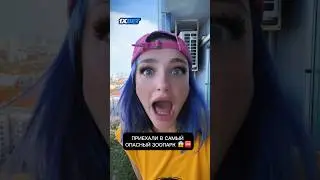 Затащила парня в САМЫЙ ОПАСНЫЙ ЗООПАРК 😱