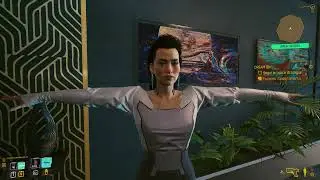 Cyberpunk funny bugs