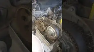 Timing belt replacement / Volkswagen Polo - Skoda Rapid