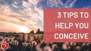 3 Tips to Help You Conceive