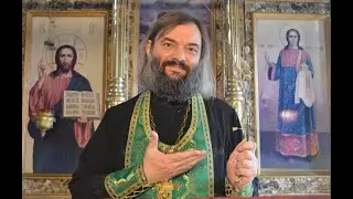 Зачем освящается верба? (По тексту Служебника) Вербное воскресенье.Священник Валерий Сосковец