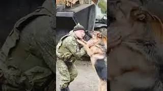 Немецкая овчарка и ее хозяин! Встреча на СВО…. 