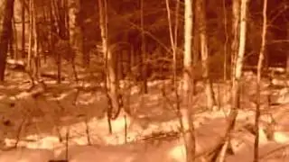 IronWolf Slasher: Land Clearing Attachment - Part 1