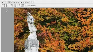 Camera Raw White Balance Correction Using Color Sampler Tool