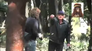 Que porque o que