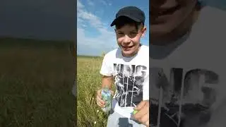 типо реклама, но нам не платили(: