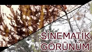 Sinematik Görüntü İçin Renk Ayarları | Premiere Dersleri