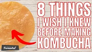 8 Things I Wish I Knew Before Making Kombucha! | The Fermentation Show