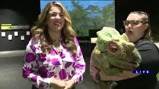 Pet a Baby Dino and Step Into the Dinos Alive VR World