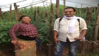 Houshold level Survey in Nepal under the supervision of Prof. Kotani