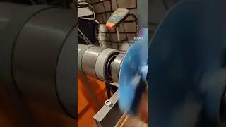 Глаза в глаза. Рука в руке. Луч глаза... Пара крыльев