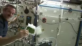How to Cook Spinach In Space