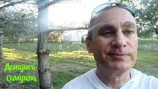 Дождись Самуила