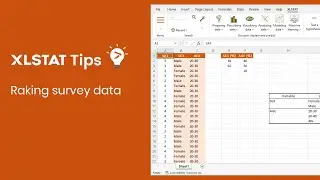Raking survey data - XLSTAT Tips