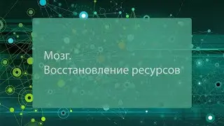 Мозг. Восстановление ресурсов
